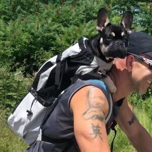 K9 Sport Pack, Air 2, Dog Backpack Carrier, Light Grey, Size Large